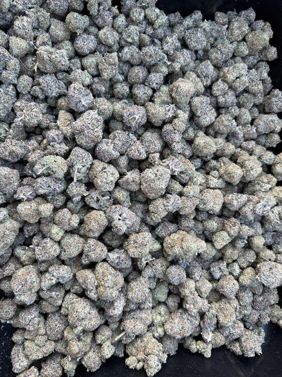 White Truffle