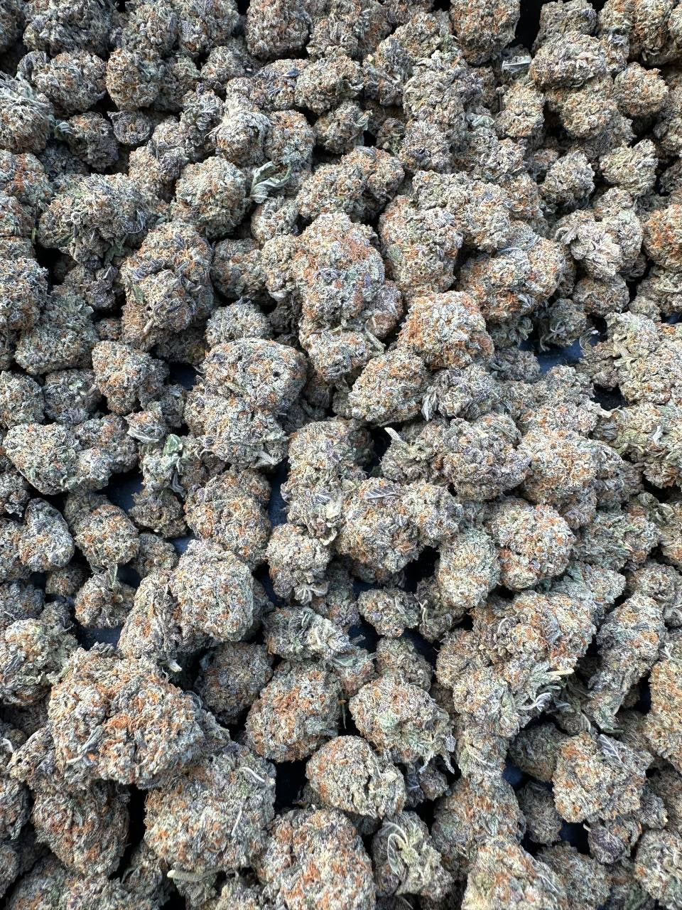 Peanut Butter Truffle